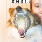 beautiful dog | BEAUTIFUL | image tagged in dog | made w/ Imgflip meme maker