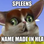 SpleensTheCat | SPLEENS; THE NAME MADE IN HEAVEN | image tagged in spleensthecat,spleens | made w/ Imgflip meme maker