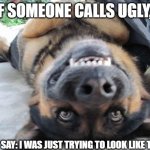 upside down dog | IF SOMEONE CALLS UGLY, JUST SAY: I WAS JUST TRYING TO LOOK LIKE TODAY | image tagged in upside down dog | made w/ Imgflip meme maker