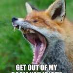 Red Fox | GET OUT OF MY ROOM YOU IDIOT!! | image tagged in red fox | made w/ Imgflip meme maker