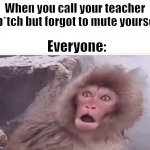 When you forgot to mute yourself on zoom | When you call your teacher a b*tch but forgot to mute yourself; Everyone: | image tagged in surprised monkey,zoom,class,school,teacher,memes | made w/ Imgflip meme maker