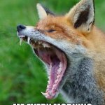 Red Fox | ME EVERY MORNING | image tagged in red fox | made w/ Imgflip meme maker