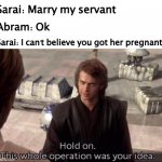 OT Meme | Sarai: Marry my servant; Abram: Ok; Sarai: I can't believe you got her pregnant | image tagged in this whole operation was your idea | made w/ Imgflip meme maker