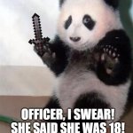 Hands Up panda | OFFICER, I SWEAR! SHE SAID SHE WAS 18! | image tagged in hands up panda | made w/ Imgflip meme maker