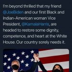 Michelle Obama 2020 election tweet