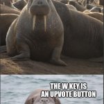 Walrus wisdom | THE W KEY IS AN UPVOTE BUTTON | image tagged in walrus of wisdom,funny,fun,lol,lmao,memes | made w/ Imgflip meme maker