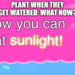 Now You Can Eat Sunlight | PLANT WHEN THEY GET WATERED: WHAT NOW? | image tagged in now you can eat sunlight | made w/ Imgflip meme maker