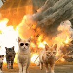 Cats away explosion meme