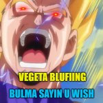 omni anime god | VEGETA BLUFIING; BULMA SAYIN U WISH | image tagged in vegeta rage | made w/ Imgflip meme maker