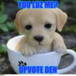 upvote him pleez? | YOU LUZ ME? UPVOTE DEN | image tagged in do you luve me | made w/ Imgflip meme maker
