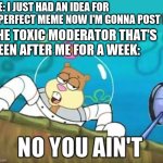 no you aint | ME: I JUST HAD AN IDEA FOR A PERFECT MEME NOW I'M GONNA POST IT; THE TOXIC MODERATOR THAT'S BEEN AFTER ME FOR A WEEK: | image tagged in no you aint | made w/ Imgflip meme maker