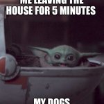 Dogs ? | ME LEAVING THE HOUSE FOR 5 MINUTES; MY DOGS | image tagged in woman screaming at baby yoda | made w/ Imgflip meme maker