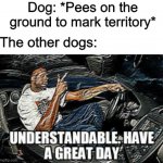The land is mine! | Dog: *Pees on the ground to mark territory*; The other dogs: | image tagged in understandable have a great day,memes,funny,dogs,pee | made w/ Imgflip meme maker