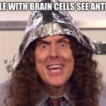 weird al yankovic tinfoil hat | HOW PEOPLE WITH BRAIN CELLS SEE ANTI-MASKERS | image tagged in weird al yankovic tinfoil hat | made w/ Imgflip meme maker