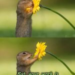 Squirrel Smelling Flower | Ahh... a flower! But your work is still sweeter!
Forward on to more success!! | image tagged in squirrel smelling flower | made w/ Imgflip meme maker