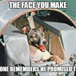 Laika | THE FACE YOU MAKE; WHEN SOMEONE REMEMBERS HE PROMISED TO MEME YOU | image tagged in laika | made w/ Imgflip meme maker
