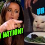 woman yelling at cat cropped | URINATION; YOU'RE A NATION! | image tagged in woman yelling at cat cropped,urinal,imagination,puns | made w/ Imgflip meme maker