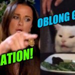 woman yelling at cat cropped | OBLONG GAY SON? OBLIGATION! | image tagged in woman yelling at cat cropped,engrish,obligation,oblong gay son,misspelled | made w/ Imgflip meme maker