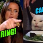 woman yelling at cat cropped | CAN'T COOK; CATERING! | image tagged in woman yelling at cat cropped,catering,can't cook,foodie,real housewives | made w/ Imgflip meme maker