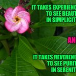 Beauty in Simplicity | IT TAKES EXPERIENCE
TO SEE BEAUTY
IN SIMPLICITY, AND; IT TAKES REVERENCE
TO SEE PURITY
IN SERENITY. | image tagged in beauty in simplicity,nature,beautiful nature,flowers,plants,love | made w/ Imgflip meme maker