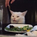 cat eating salad