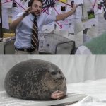 Seal Explanation meme