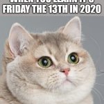 Watch your back today peeps... | WHEN YOU LEARN IT'S FRIDAY THE 13TH IN 2020 | image tagged in memes,heavy breathing cat | made w/ Imgflip meme maker