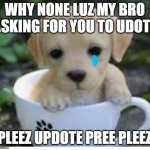 do you luve me? | WHY NONE LUZ MY BRO
ASKING FOR YOU TO UDOTE; PLEEZ UPDOTE PREE PLEEZ | image tagged in do you luve me | made w/ Imgflip meme maker