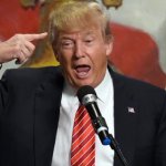 Stupid Trump - I have the biggest Brain