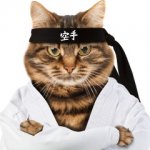 Karate cat meme