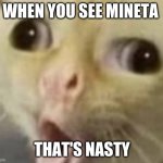 derp cat | WHEN YOU SEE MINETA; THAT'S NASTY | image tagged in derp cat | made w/ Imgflip meme maker