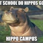 Skeptical Hippo | WHAT SCHOOL DO HIPPOS GO TO? HIPPO CAMPUS | image tagged in skeptical hippo | made w/ Imgflip meme maker