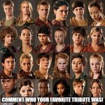 COMMENT WHO YOUR FAVORITE TRIBUTE WAS! | image tagged in hunger games | made w/ Imgflip meme maker