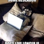 When your dog wants to trick you in give him peanut butter whenever they like | I DID SOME RESEARCH; DOGS LIVE LONGER IF THEY EAT PEANUT BUTTER | image tagged in husky study | made w/ Imgflip meme maker