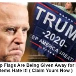 Trump 2020 flags meme