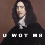 Johan de Witt U wot m8 meme