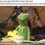 disgusted kermit | When you get told that most cats are lactose intolerant but you always give your cat milk | image tagged in disgusted kermit | made w/ Imgflip meme maker