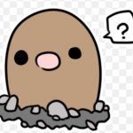 confused diglett