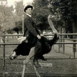 Ostrich Ride