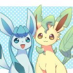 Glaceon x leafeon 4