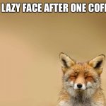 Fox Meditating | MY LAZY FACE AFTER ONE COFFEE | image tagged in fox meditating,coffee | made w/ Imgflip meme maker