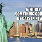 New York | A 'FOIBLE' IS SOMETHING COUGHED UP BY CATS IN NEW YORK. | image tagged in new york | made w/ Imgflip meme maker