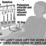 I wouldn't have left the womb if I knew there were gonna be days like this. | I WOULDN'T HAVE LEFT THE WOMB IF I KNEW THERE WERE GONNA BE DAYS LIKE TIS. | image tagged in x when y happens | made w/ Imgflip meme maker