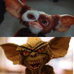 Mogwi vs Gremlin