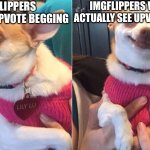Lily Lu | IMGFLIPPERS TOWARDS UPVOTE BEGGING; IMGFLIPPERS WHEN THE ACTUALLY SEE UPVOTE BEGGING | image tagged in lily lu | made w/ Imgflip meme maker