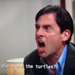 Where are the turtles? meme