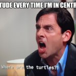 Turtle Enthusiasts MUST turtle | MY ATTITUDE EVERY TIME I'M IN CENTRAL PARK | image tagged in where are the turtles,turtle | made w/ Imgflip meme maker