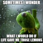Squeeze them out and drip the juice into Life's eyes of course | SOMETIMES I WONDER; WHAT I WOULD DO IF LIFE GAVE ME THOSE LEMONS | image tagged in sometimes i wonder,memes,when life gives you lemons,what would happen | made w/ Imgflip meme maker