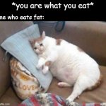 Sad fat cat | *you are what you eat*; me who eats fat: | image tagged in sad fat cat | made w/ Imgflip meme maker