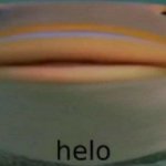 Helo fish meme